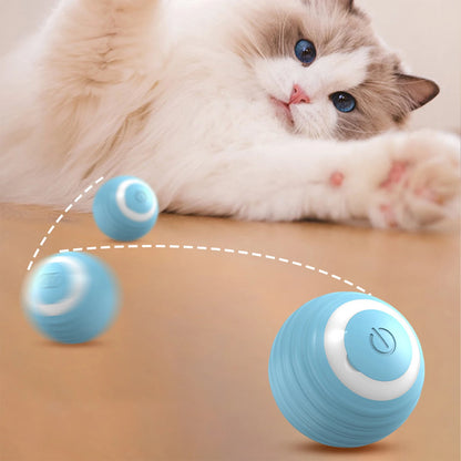 UniCatBall™ - מבית יונימד